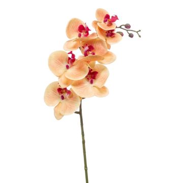 Rama de orquídeas phalaenopsis artificial NEITH, naranja-fucsia, 85cm