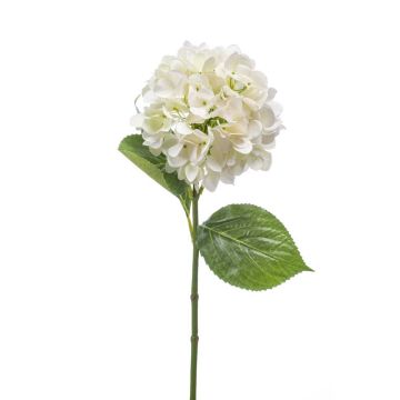 Flor textil de hortensia ENEA, blanco, 65cm