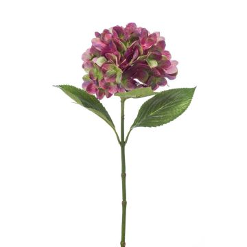 Flor textil de hortensia ENEA, violeta-verde, 65cm