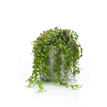 Planta artificial de senecio PIURA en maceta de cemento, verde, 15cm