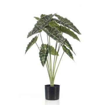 Alocasia sanderiana artificial FIORELLA, verde, 80cm