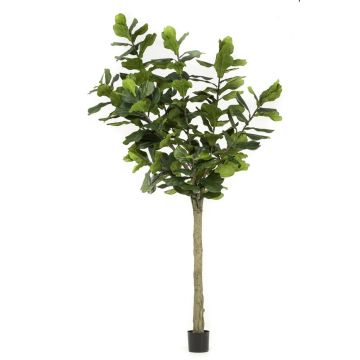 Ficus lyrata artificial ENRIKO, tronco falso, verde, 300cm