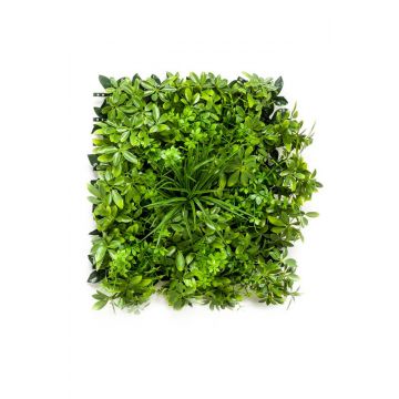 Estera de hierba de schefflera artificial ENZIO, espacios semiprotegidos, verde, 50x50cm