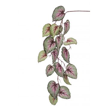 Rama de begonia rex artificial MEIRA, verde-rosa, 110cm