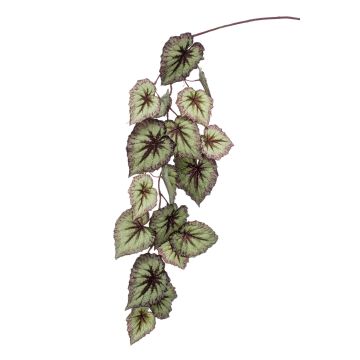 Rama de begonia rex artificial MEIRA, verde-violeta, 110cm