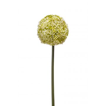 Allium de plástico BOUTROS, blanco-verde, 75cm