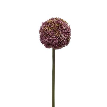 Allium de plástico BOUTROS, violeta, 75cm