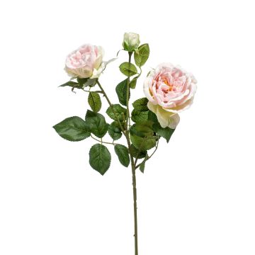 Rama de rosa artificial CALISTA, rosa, 60cm