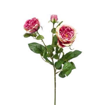 Rama de rosa artificial CALISTA, fucsia, 60cm