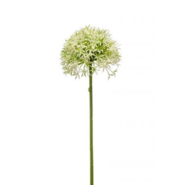 Allium artificial ARNAU, crema-verde, 60cm