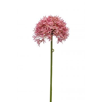 Allium artificial ARNAU, fucsia, 60cm