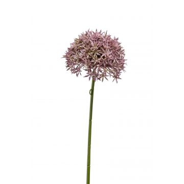 Allium artificial ARNAU, rosa, 60cm