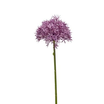 Allium artificial ARNAU, violeta, 60cm