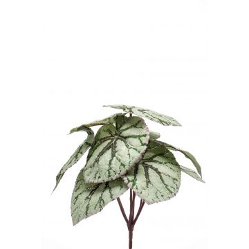 Begonia rex artificial MEIRA en vara de ajuste, verde-gris, 25cm