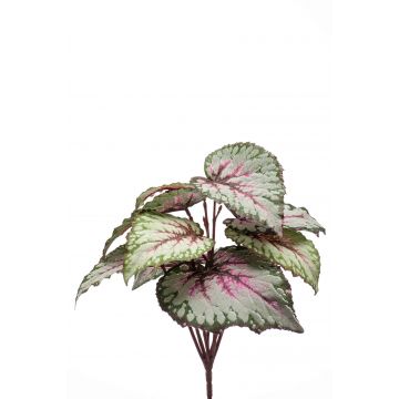 Begonia rex artificial MEIRA en vara de ajuste, verde-rosa, 25cm