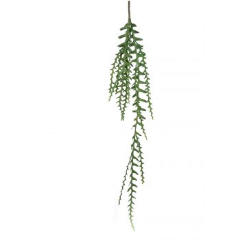 Planta colgante de plástico de cactus coral TULLIO en vara de ajuste, verde, 125cm