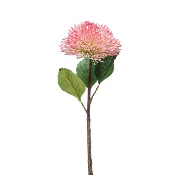 Flor de sedum de plástico JICAMA, blanco rosado, 45cm