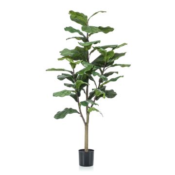 Ficus lyrata artificial EUSEBI, tronco falso, verde, 120cm