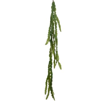 Planta colgante de cactus artificial BORNEO en vara de ajuste, verde, 110cm