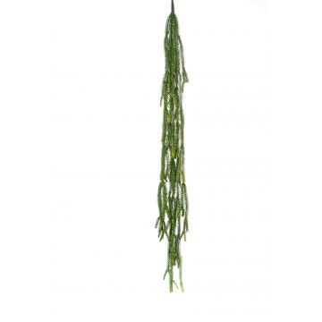 Planta colgante de cactus artificial BORNEO en vara de ajuste, verde, 120cm