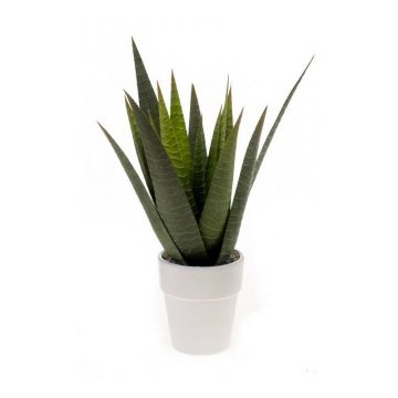 Aloe variegata artificial MARTINEZ, maceta de cerámica, verde, 30cm, Ø17cm