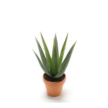 Aloe variegata artificial MARTINEZ, maceta de terracota, verde, 30cm, Ø17cm