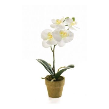 Orquídea phalaenopsis artificial SETH en maceta decorativa, crema, 25cm