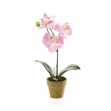 Orquídea phalaenopsis artificial SETH en maceta decorativa, rosa, 25cm