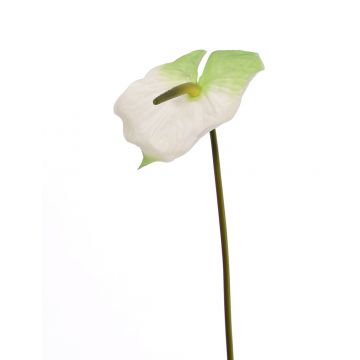 Anthurium artificial MOIRA, blanco-verde, 75cm, 13x20cm