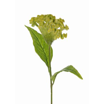 Celosia cristata artificial ANUBIS, verde-amarillo, 60cm, Ø13cm