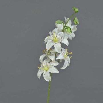 Lirio de tigre artificial ASHANTI, blanco, 65cm, Ø8cm