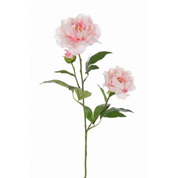 Flor textil de peonía ONYX, crema-rosa, 70cm, Ø10-13cm