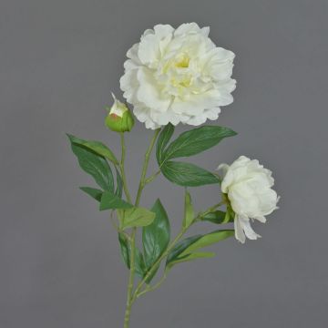 Flor textil de peonía ONYX, blanca, 70cm, Ø10-13cm