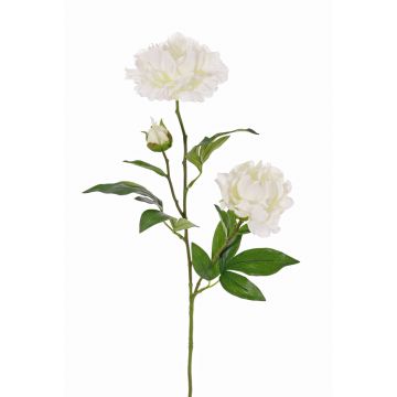 Flor textil de peonía ONYX, blanca, 70cm, Ø10-13cm