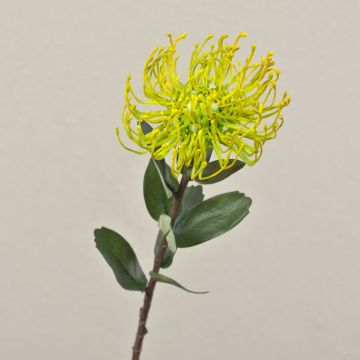 Protea artificial BAILY, amarillo, 50cm, Ø12cm