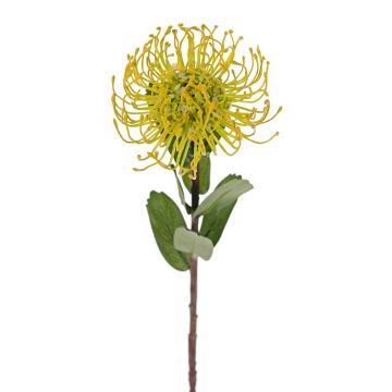 Protea artificial BAILY, amarillo, 50cm, Ø12cm