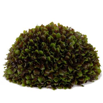 Bola artificial de hojas de naranjo FAIRY, verde-rojo, Ø30cm