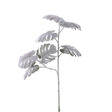 Rama falsa de filodendro Monstera Deliciosa NUBIE, helado, gris, 70cm