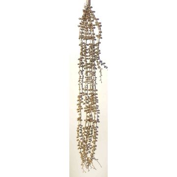 Senecio artificial colgante SKERPA, varilla de ajuste, champán, 75cm Senecio artificial colgante SKERPA, varilla de ajuste, champán, 75cm