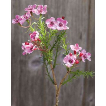 Flor de cera artificial AISHA, rosa, 25cm