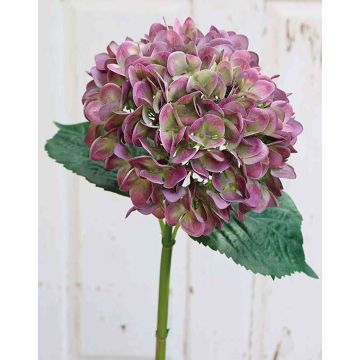 Hortensia artificial THABEA, violeta-verde, 65cm