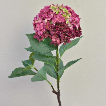 Hortensia artificial EMILIE, rosa-verde, 60cm