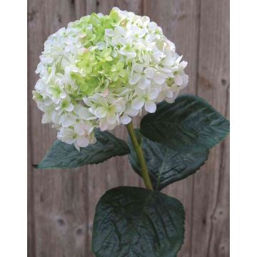 Hortensia artificial EMILIE, blanco-verde, 60cm