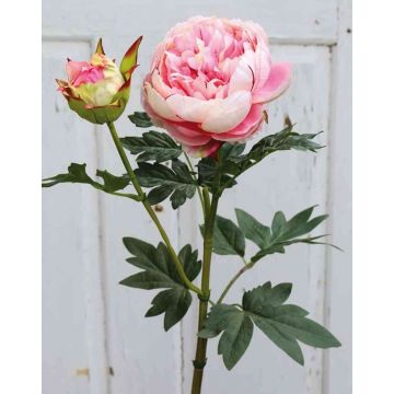 Flor textil Paeonia ERNESTINE, rosa-verde, 80cm
