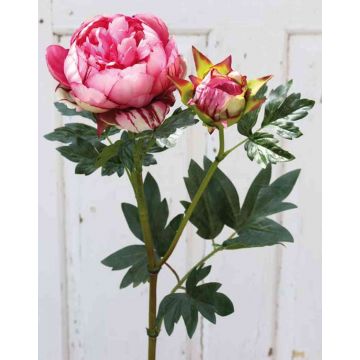 Flor textil Paeonia ERNESTINE, rosa-fucsia, 80cm