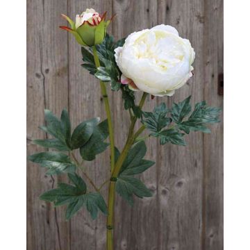 Flor textil Paeonia ERNESTINE, crema-blanco, 80cm