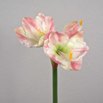 Amaryllis artificial YOLANTE, rosa-blanco, 70cm, Ø23cm