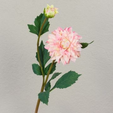 Dalia artificial PATRITZIA, rosa-rosa, 55cm