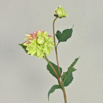 Dalia artificial PATRITZIA, verde-rosa, 55cm