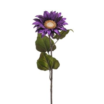 Girasol de terciopelo MAHEALANI, lila oscuro-dorado, 75 cm